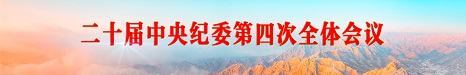 二十届中央纪委第四次全体会议