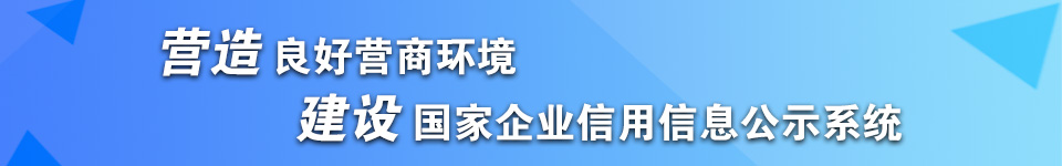 营造良好营商环境 建设国家企业信用信息公示系统