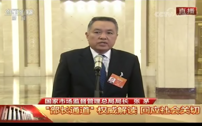 张茅在“部长通道”接受记者采访